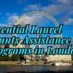 Essential Laurel County Assistance Programs in London