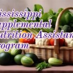 Mississippi Supplemental Nutrition Assistance Program