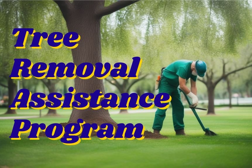 Tree Removal Assistance Program