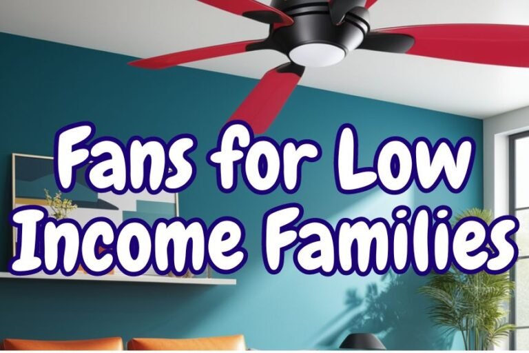 Free Fans for Low Income Families