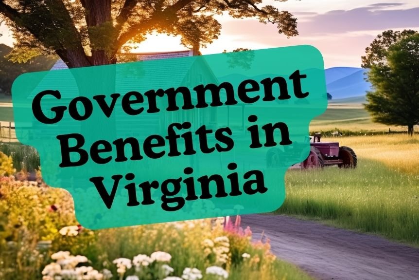 Government Benefits in Virginia: DSS Virginia Overview