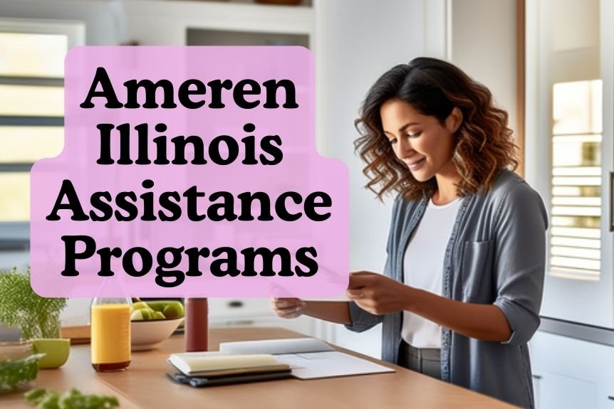 Ameren Illinois Assistance Programs